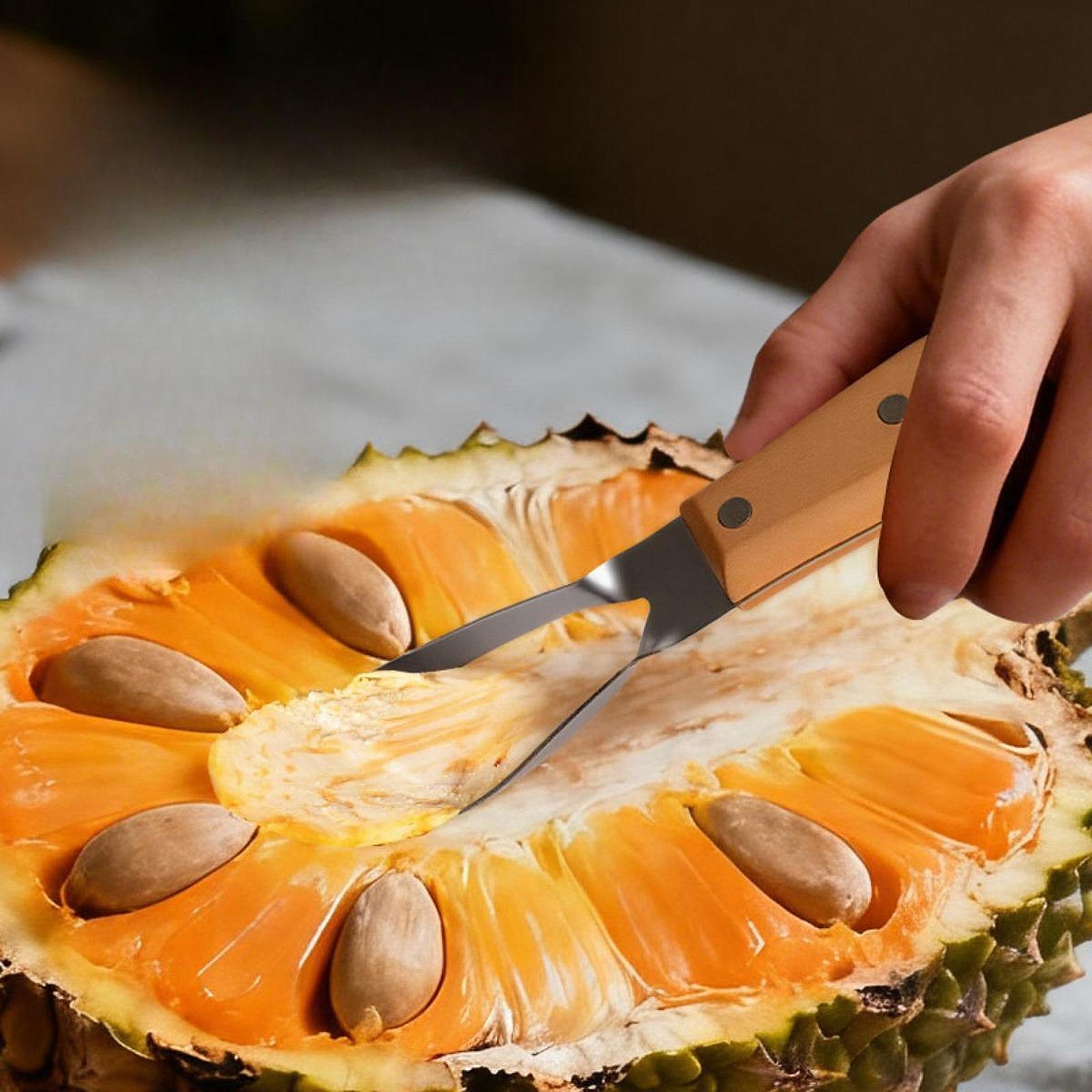 أداة إزالة قلب جاك فروت، محمول - مراجعة Kitchen Gadgets Store وسعره