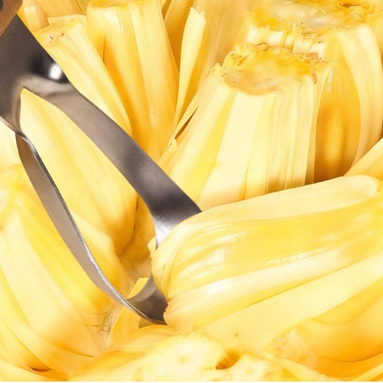 أداة إزالة قلب جاك فروت، محمول - مراجعة Kitchen Gadgets Store وسعره