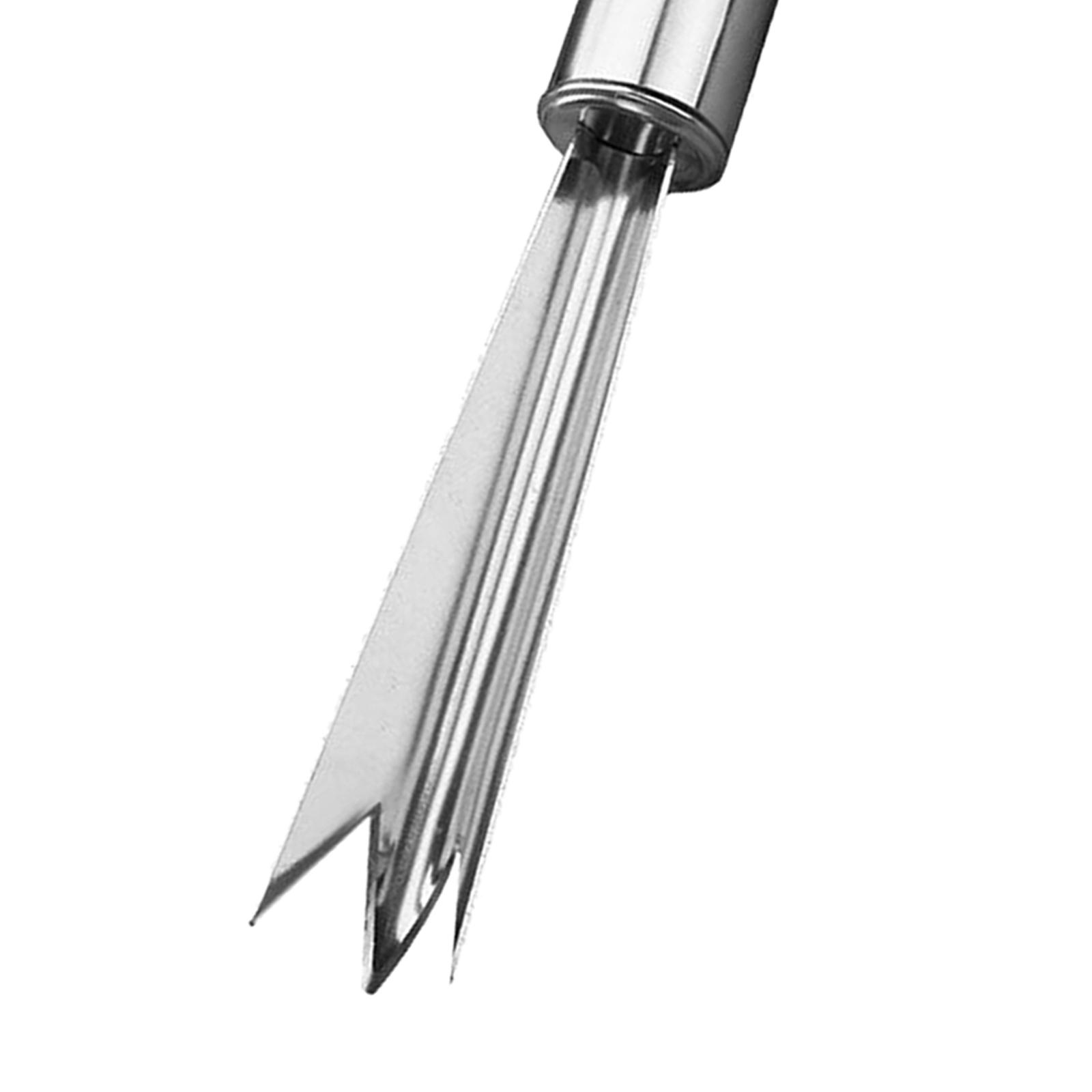 مقشرة أناناس عملية سهلة الاستخ - مراجعة Kitchen Gadgets Store وسعره